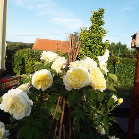 Ferienwohnung Lindemann Weissig  ภายนอก รูปภาพ