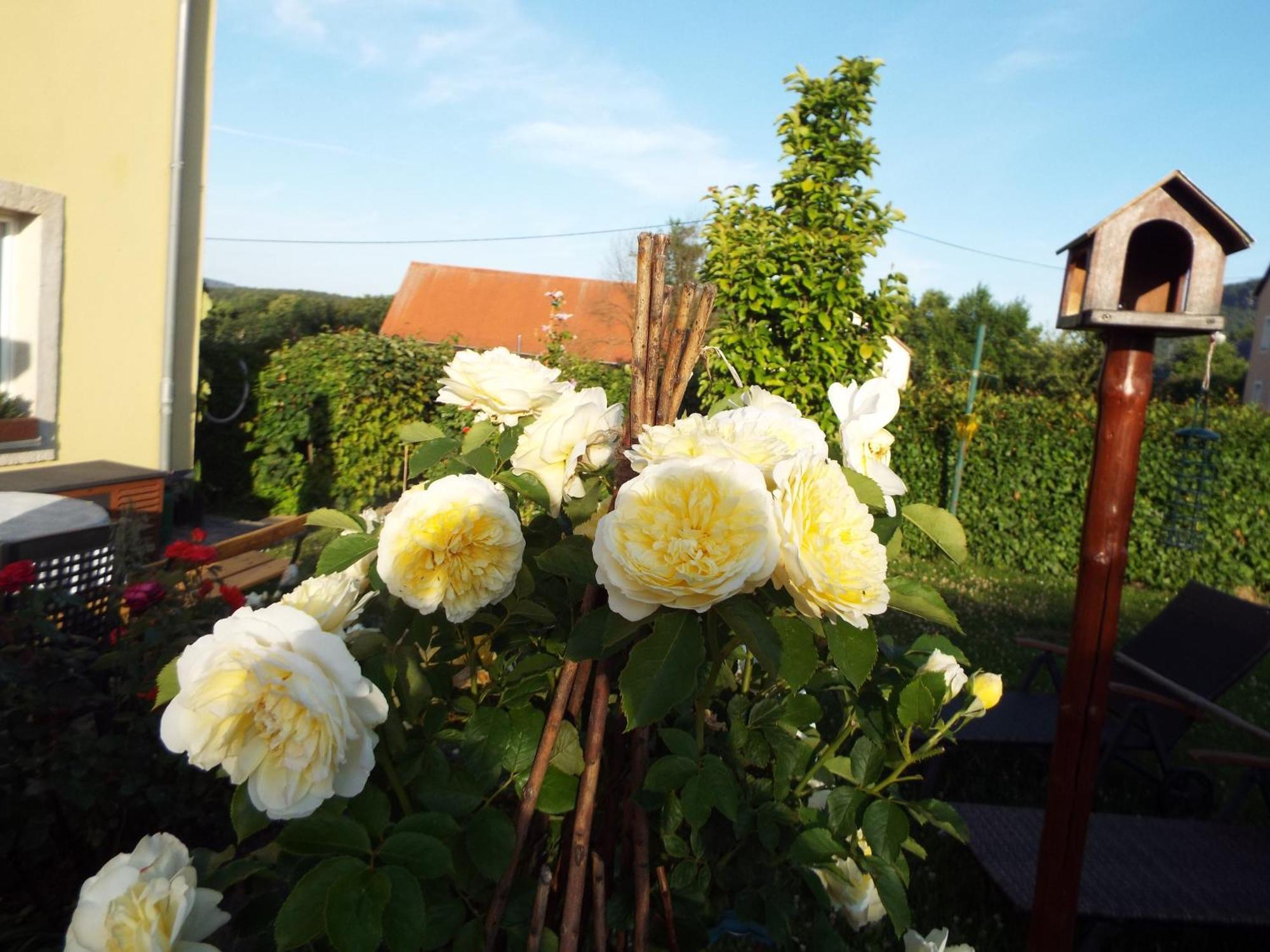 Ferienwohnung Lindemann Weissig  ภายนอก รูปภาพ
